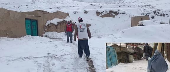 طالبان: در اثر بارش برف و سردی هوا دستکم ۲۶ نفر جان باختند و ۷۰ هزار راس مواشی تلف شدند