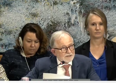 گزارشگر ویژه سازمان ملل بار دیگر خواهان سازوکار تحقیق مستقل درباره افغانستان شد