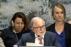 گزارشگر ویژه سازمان ملل بار دیگر خواهان سازوکار تحقیق مستقل درباره افغانستان شد