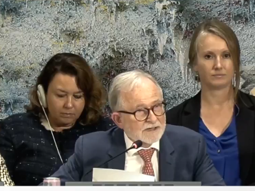 گزارشگر ویژه سازمان ملل بار دیگر خواهان سازوکار تحقیق مستقل درباره افغانستان شد