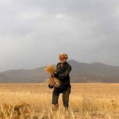 ملګرو ملتونو او د اسیا پراختیایي بانک په افغانستان کې د ۱۰۰ میلیون ډالرو پروژه پیل کړه
