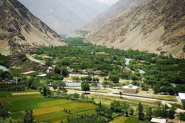 منابع: افراد یک فرمانده محلی طالبان در تخار در درگیری بر سر علفچر ۶ نفر را زخمی کردند