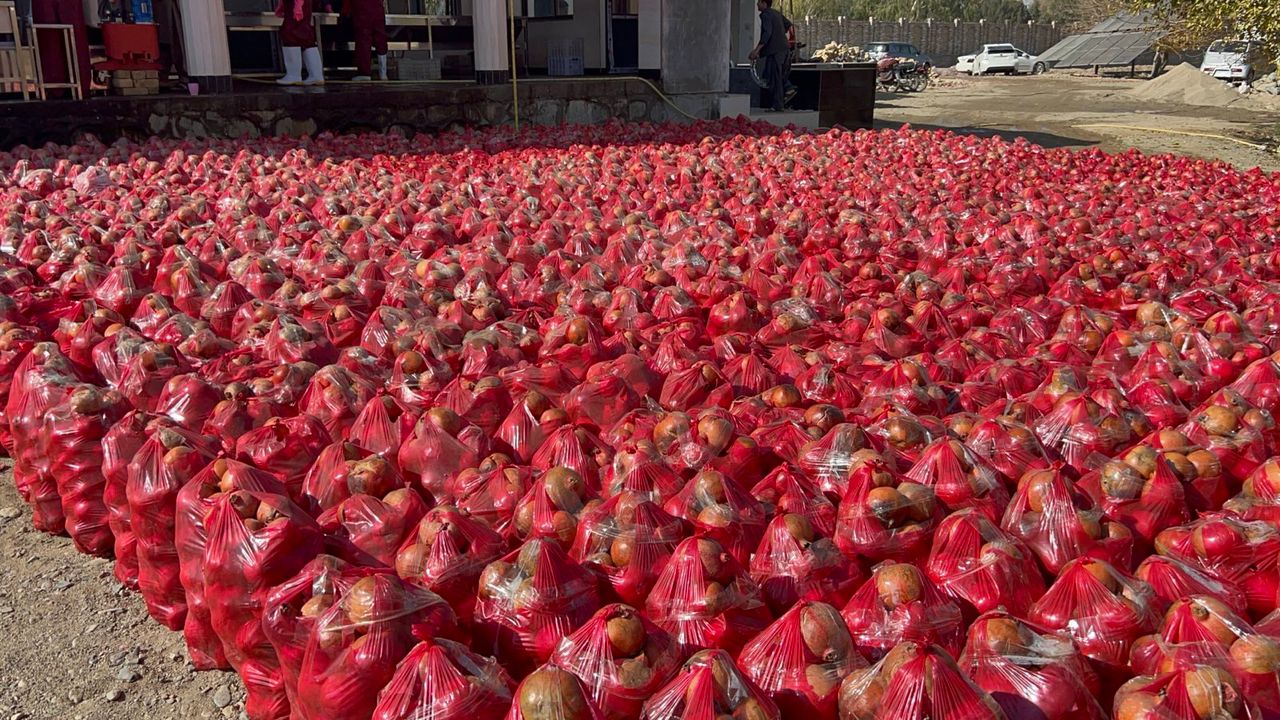 د کندهار په ارغنداب کې یوه خصوصي شرکت د انارو د پروسس کارخونه پرانېسته