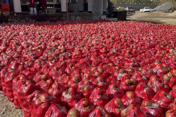 د کندهار په ارغنداب کې یوه خصوصي شرکت د انارو د پروسس کارخونه پرانېسته