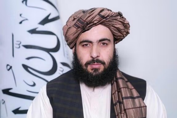 فطرت د رونټیا نړۍوال سازمان راپور ته: دامهال افغانستان کې د فساد کچه د تېر پرتله ټیټه شوې