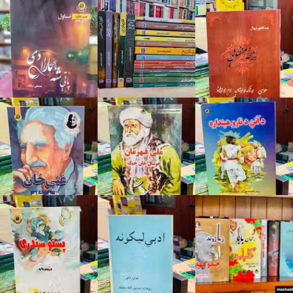 پښتانه لیکوالان: د طالبانو په پنځه کاله واکمنۍ کې پښتو ادب د جمود ښکار شوی