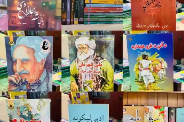 پښتانه لیکوالان: د طالبانو په پنځه کاله واکمنۍ کې پښتو ادب د جمود ښکار شوی