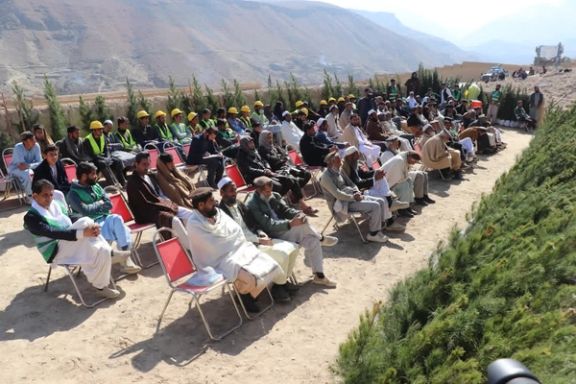 د طالبانو د چاپېریال ساتنې اداره: د څه باندې ۱۷ میلیونو نیالګیو کېنولو کمپاین پیل شو