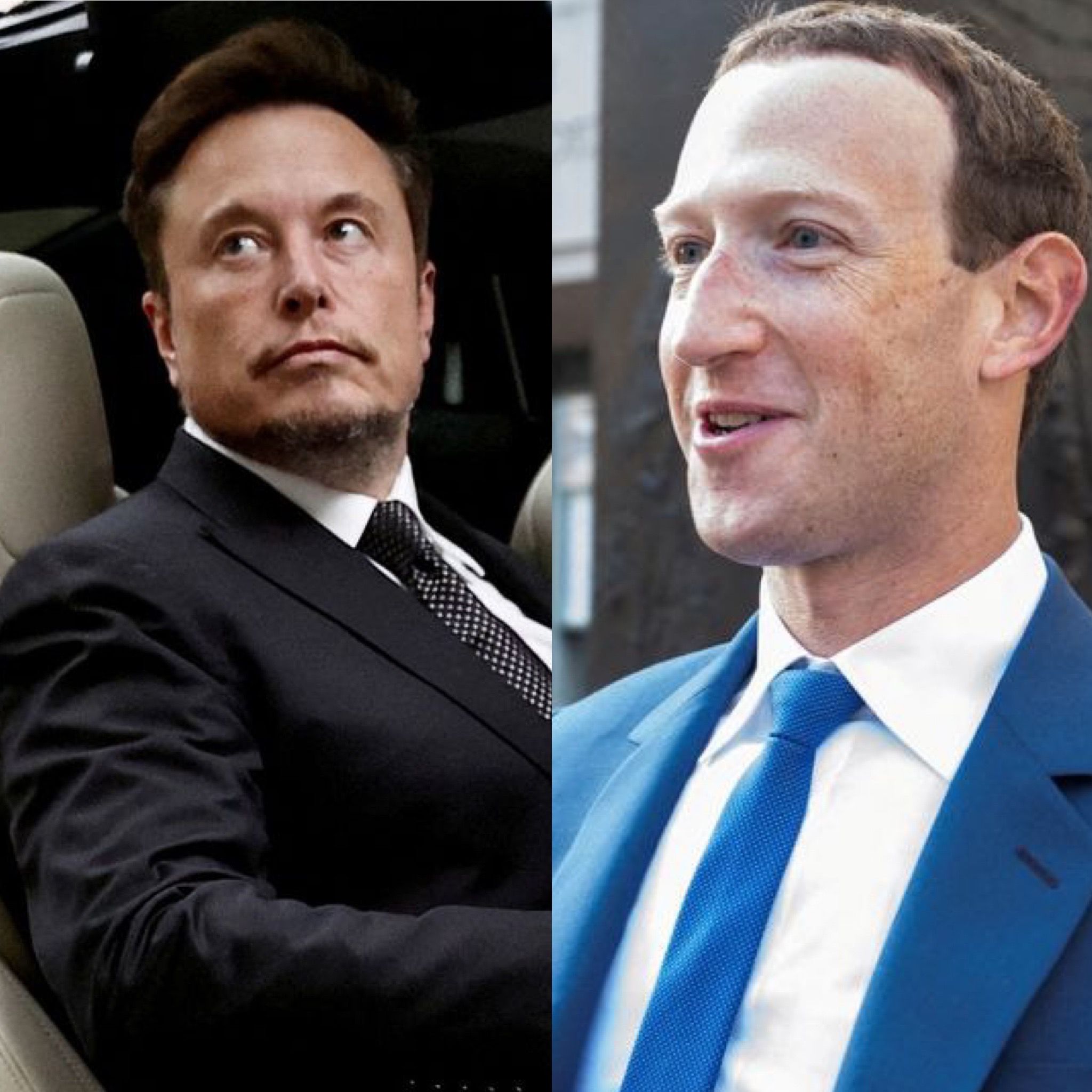 وزیر فرهنگ ایتالیا از احتمال میزبانی روم از مسابقه بین ماسک و زاکربرگ خبر داد