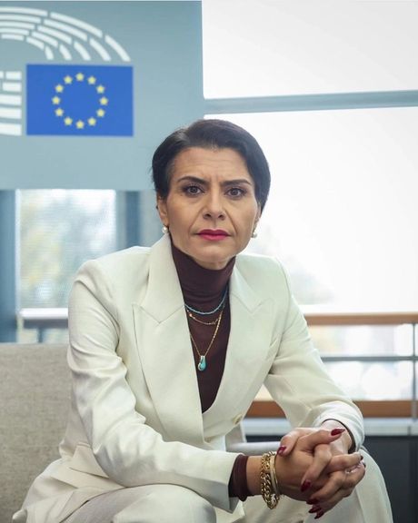 عضو پارلمان اروپا به افغانستان اینترنشنال: مخالفان طالبان یک دشمن دارند و باید بسیج شوند