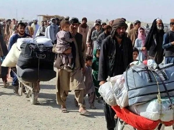 طالبان از ایجاد کمیسیونی برای رسیدگی به مشکلات مهاجرین افغان خبر داد