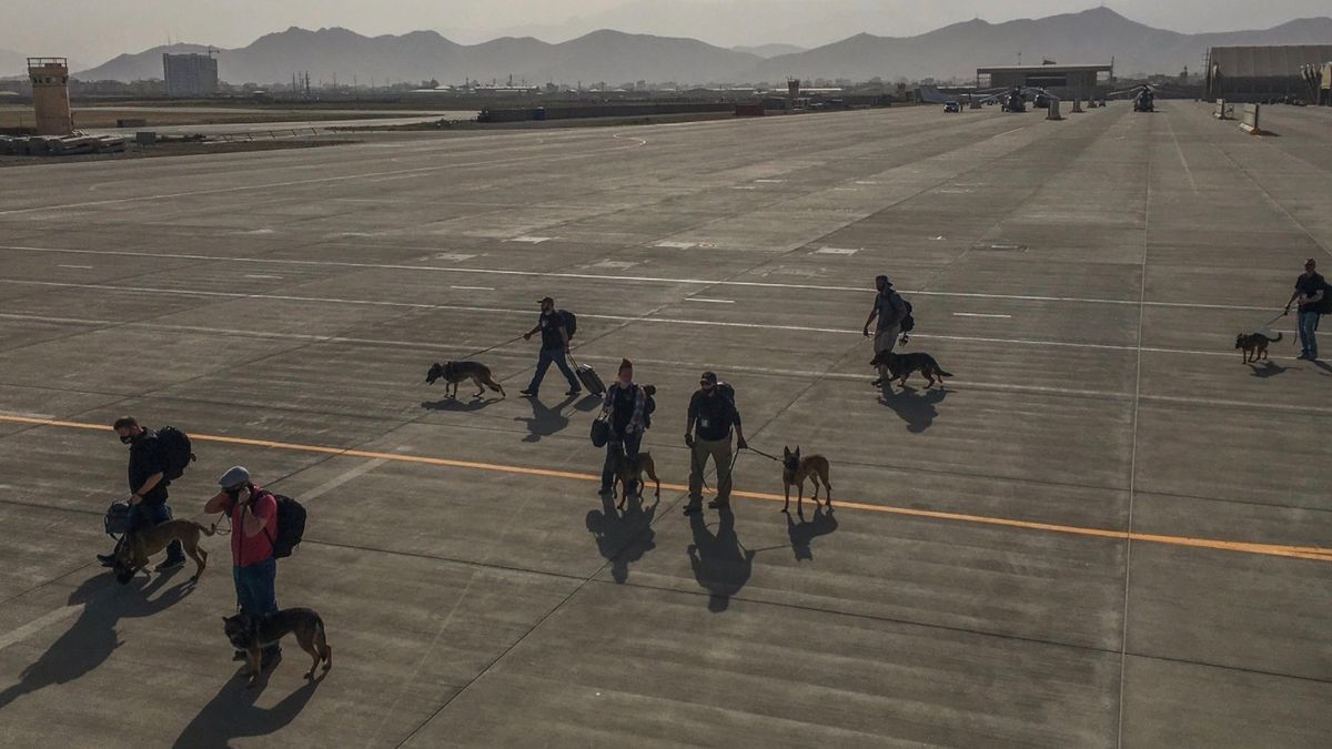 انتقاد ترامپ از دولت بایدن؛ سگ‌ها را در افغانستان جا گذاشتند