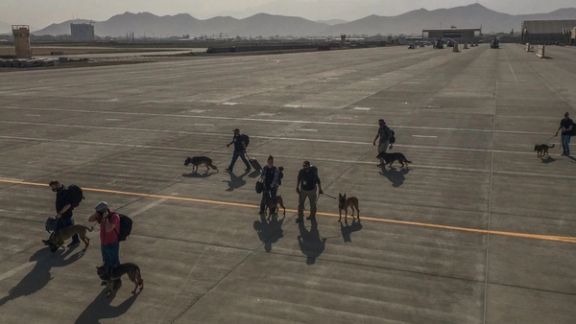 انتقاد ترامپ از دولت بایدن؛ سگها را در افغانستان جا گذاشتند