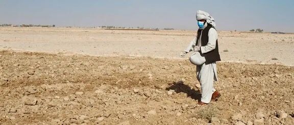 سازمان ملل: کاهش بارندگی و رکود اقتصادی در افغانستان بحران ناامنی غذایی را تشدید می‌کند