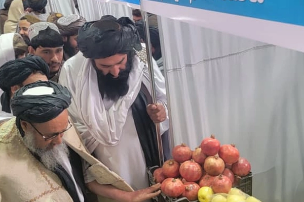 روزګان کې د کورنیو تولیداتو نندارتون پرانیستل شو