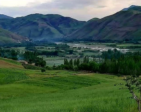 Taliban Confiscates Memory Chips From Passenger Vehicles To Stop Music In Badakhshan