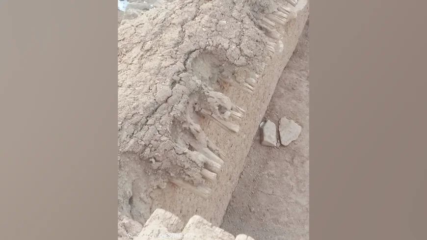 دایکنډي کې د تېرې ورځې زلزلې له امله ۶۷ کورونه زیانمن شوي دي