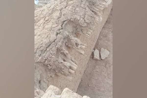 دایکنډي کې د تېرې ورځې زلزلې له امله ۶۷ کورونه زیانمن شوي دي