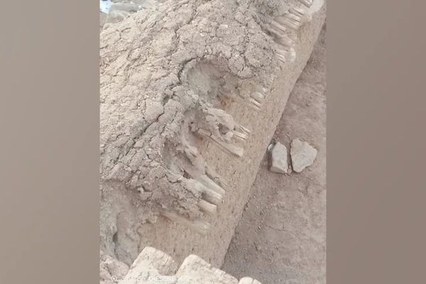 دایکنډي کې د تېرې ورځې زلزلې له امله ۶۷ کورونه زیانمن شوي دي