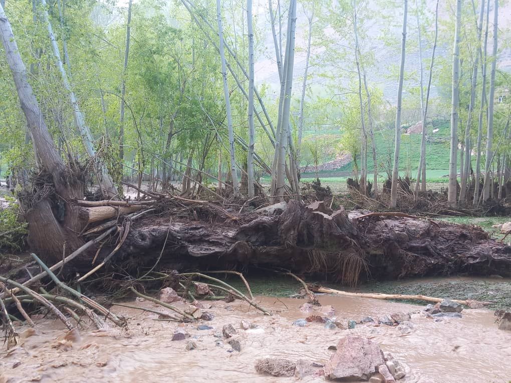 د غور ولایت سېلاب‌ځپلو له طالبانو او مرستندویو ادارو د بېړنیو مرستو غوښتنه کړې