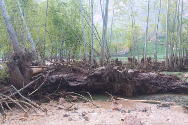 د غور ولایت سېلابځپلو له طالبانو او مرستندویو ادارو د بېړنیو مرستو غوښتنه کړې