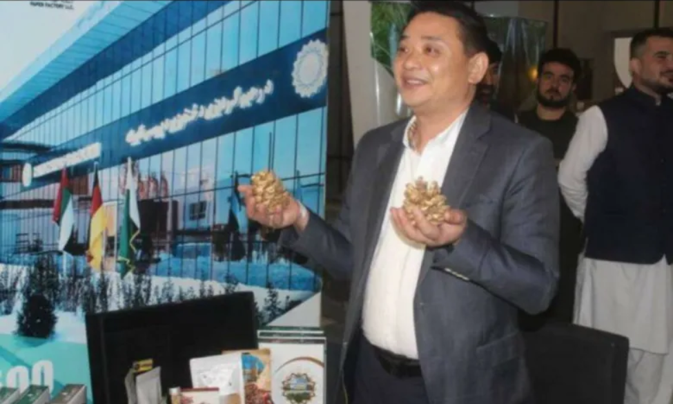 په لومړي ځل چینايي سوداګرو د پکتیا ځڼغوزیو ته زړه ښه کړی