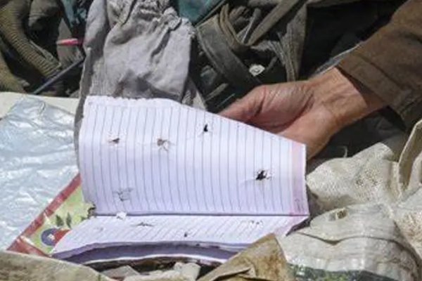 Taliban Need to Protect Hazaras, At-Risk Communities Amidst IS-K Attacks, Says HRW