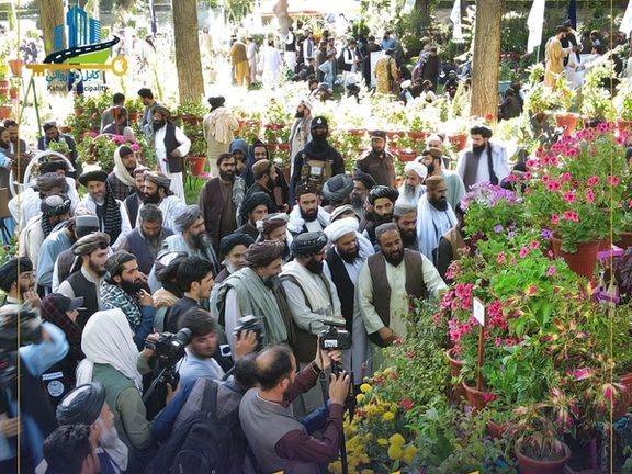 په کابل کې د "ګل او بوټي" په نوم د زینتي ګلانو نندارتون جوړ شو