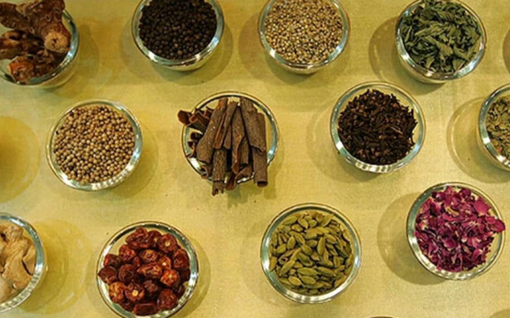 د ۱۴۰۴کال په ۹ میاشتو کې د هرات د طبي بوټو صادرات درې برابره زیات شوي