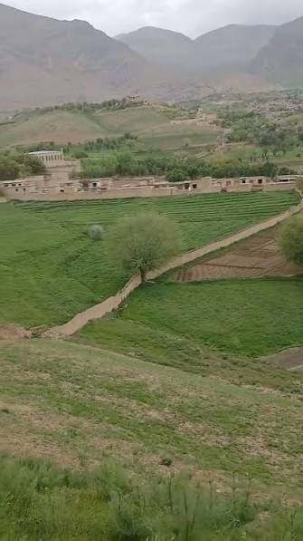 جبهه متحد می‌گوید دو عضو طالبان را در فاریاب کشته است