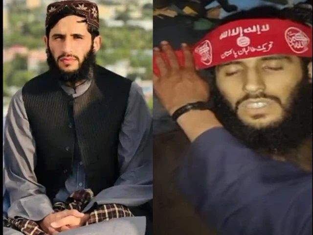 اروپايي ټولنه په فرانسه کې د افغانانو د سختدریځه تملایلاتو څېړنه کوي