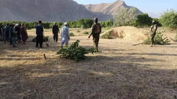 خاص ارزګان کې څه تېریږي؟ سرچینه وایي، تېرو دوو کلونو کې د جوی نو کلي ۱۴ اوسېدونکي وژل شوي