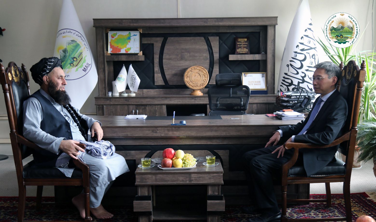 کابل کې د چین سفیر: چين په نړيواله کچه د طالبانو ملاتړ کوي