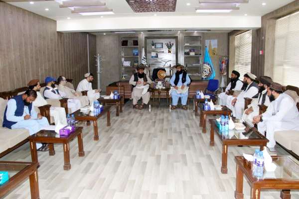 په ننګرهار کې د تېرو دریو میاشتو په موده کې د ګوزڼ پنځه مثبتې پېښې ثبت شوې دي