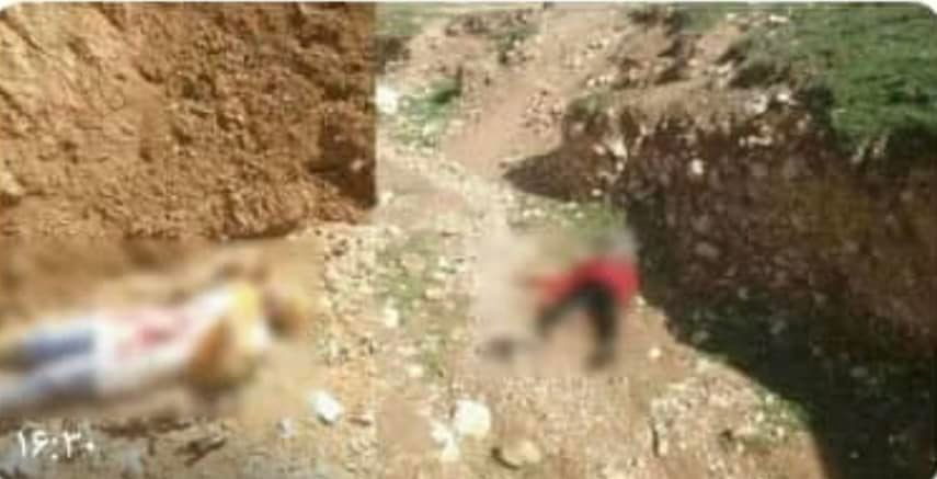 محمد محقق: طالبان شبانه دختران را می‌کشند 