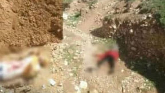 محمد محقق: طالبان شبانه دختران را میکشند