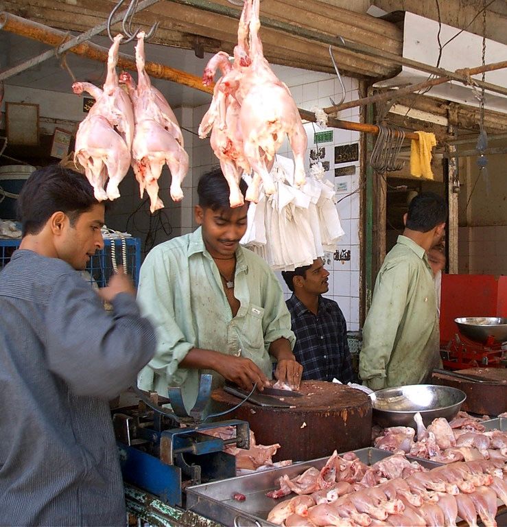 افغانستان سره د لارو تړل کېدو له امله پاکستان کې د چرګانو غوښې خورا ارزانه شوې دي