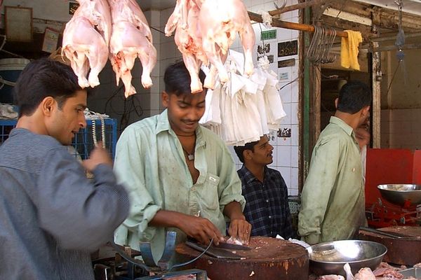 افغانستان سره د لارو تړل کېدو له امله پاکستان کې د چرګانو غوښې خورا ارزانه شوې دي