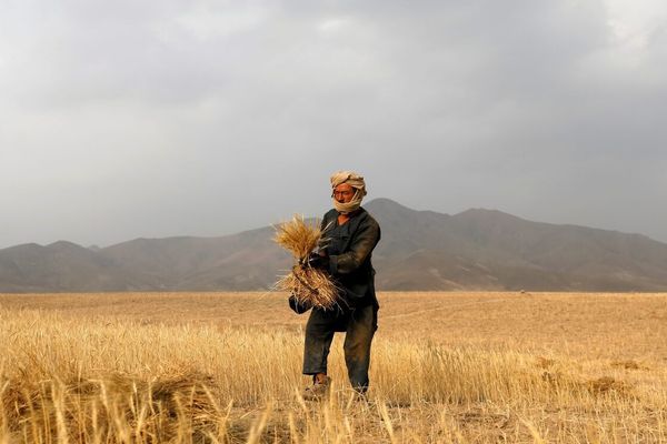 تابستان امسال در افغانستان گرمتر از حد معمول خواهد بود