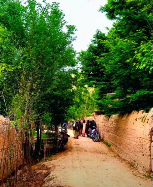 پنج سال زندان برای «نه» گفتن؛ روایت دختری که حاضر نشد تسلیم ازدواج اجباری شود