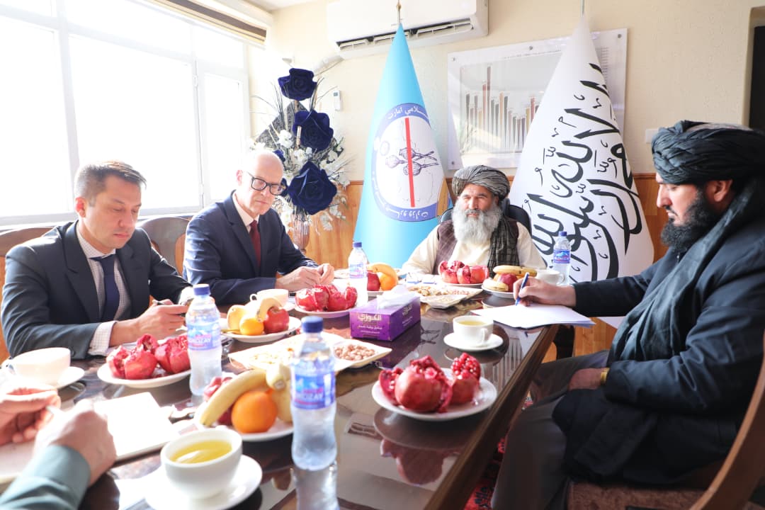 طالبان: ملګري ملتونه دې د بدیل معیشت او روږدو کسانو د درمنلې په برخه کې همکاري وکړي