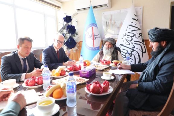 طالبان: ملګري ملتونه دې د بدیل معیشت او روږدو کسانو د درمنلې په برخه کې همکاري وکړي