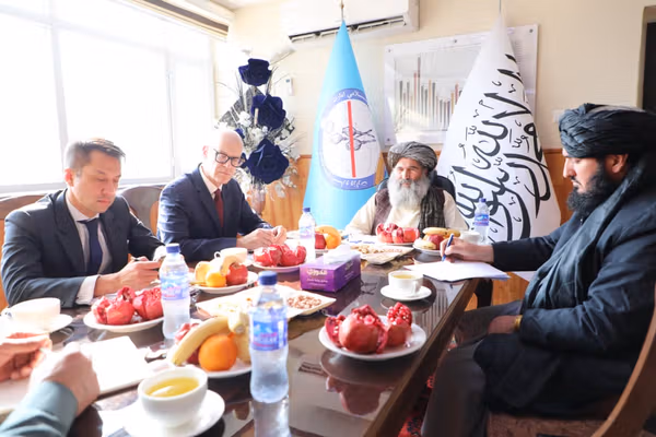 طالبان: ملګري ملتونه دې د بدیل معیشت او روږدو کسانو د درمنلې په برخه کې همکاري وکړي