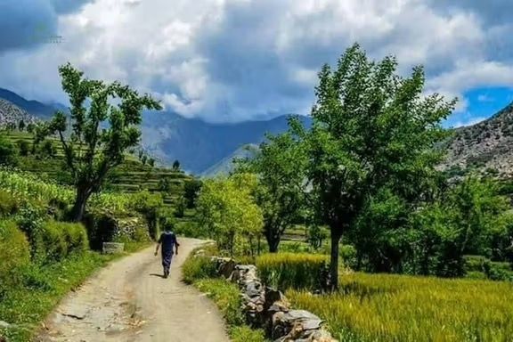  طالبانو په ننګرهار کې د داعش یو قوماندان وژلی 