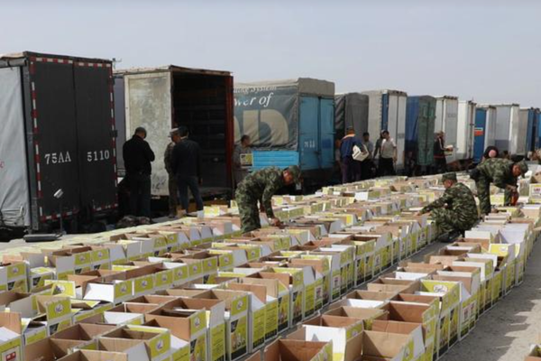 Uzbekistan Seizes Drug Shipment Worth 70 Million Dollars Near Afghanistan Border