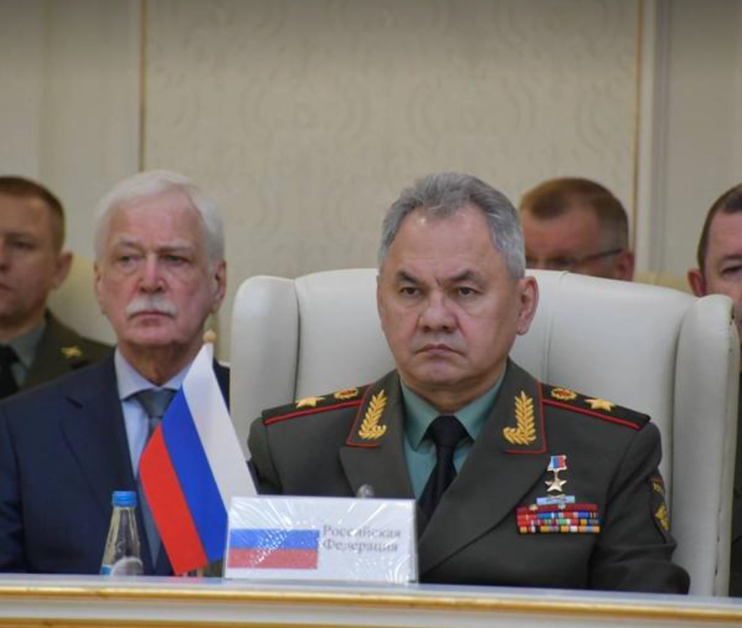 Afghanistan Hotbed of Regional Instability, Says Russian Defence Minister
