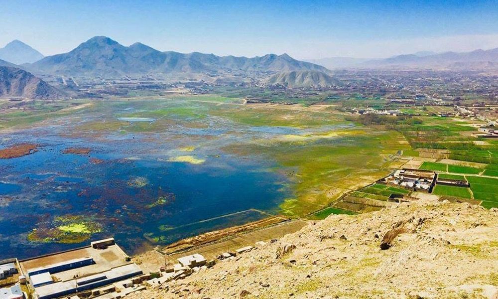 منابع محلی: طالبان یک کشاورز را در چهارآسیاب کابل به دلیل عدم پرداخت عشر کشتند