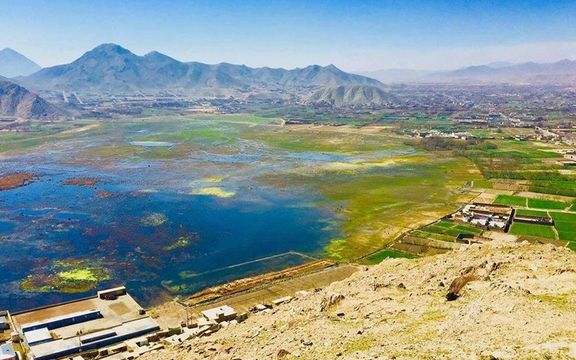 منابع محلی: طالبان یک کشاورز را در چهارآسیاب کابل به دلیل عدم پرداخت عشر کشتند