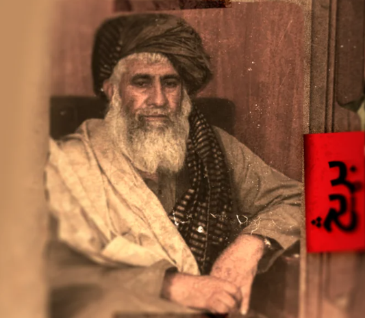 څېړنیز راپور؛ د ننګرهار لپاره د طالبانو والي "محمد نعیم" د قاچاق شبکې کلیدي لوبغاړی دی