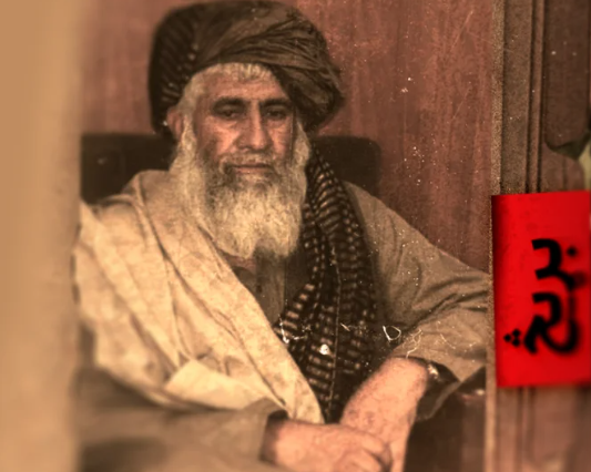 څېړنیز راپور؛ د ننګرهار لپاره د طالبانو والي "محمد نعیم" د قاچاق شبکې کلیدي لوبغاړی دی